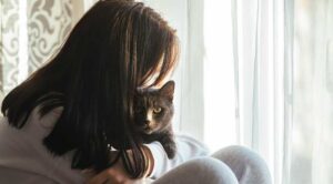 13 indícios de que a saúde do seu gato não está boa