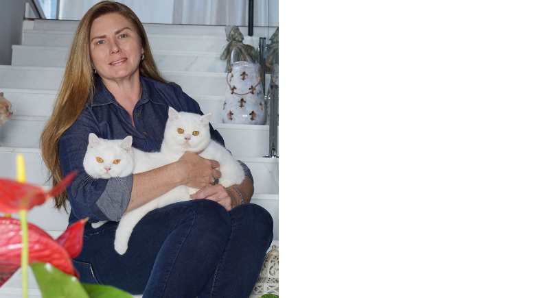 British_Shorthair_4_Pulo_do_Gato_154