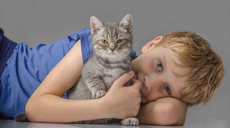 Educação_familiar_pulo_do_gato_SEO