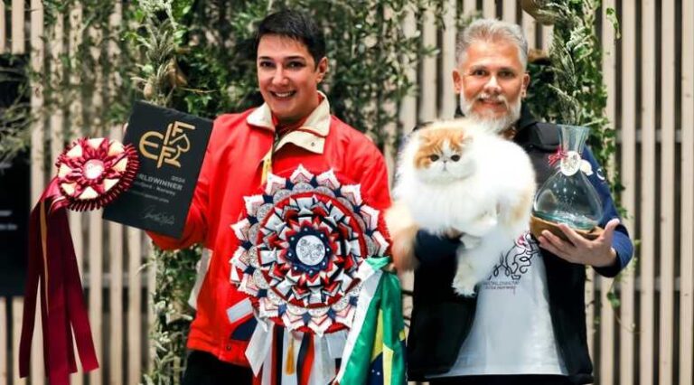 Exposição_Interncional_Pulo_do_Gato