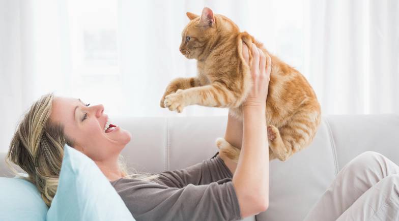 Gatos_Atleticos_Guia_Raças_Pulo_do_Gato