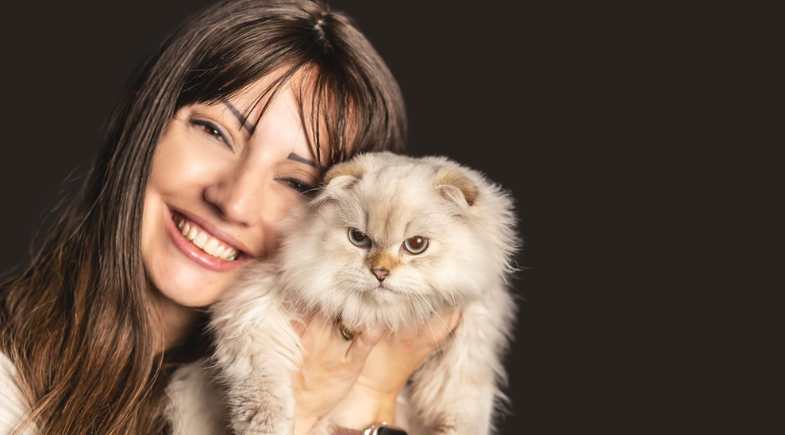 Gatil Galantis: criação de British, Scottish Fold e Maine Coon