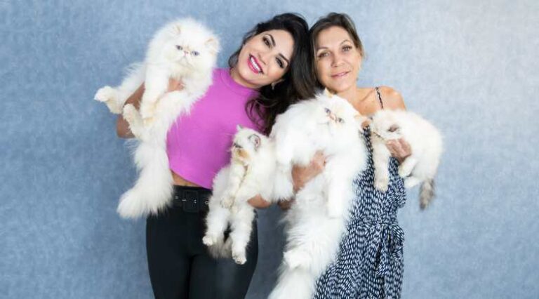 Gatil_Santill_Revista_Pulo_do_Gato