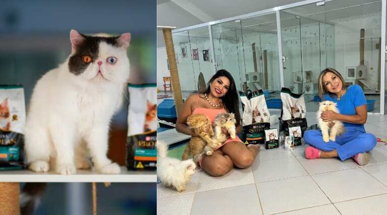 Gatil_Santilli_Pulo_do_Gato
