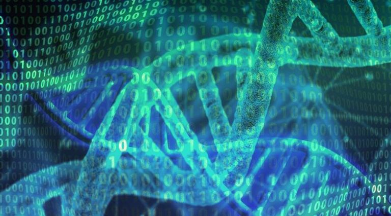Genetica_Pulo_do_gato_SEO