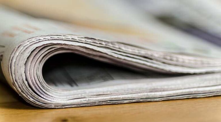 Jornal_Felino_Pulo_do_Gato