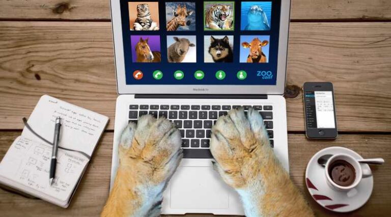 Nomes_mais_escolhidos_Pulo_do_gato_SEO