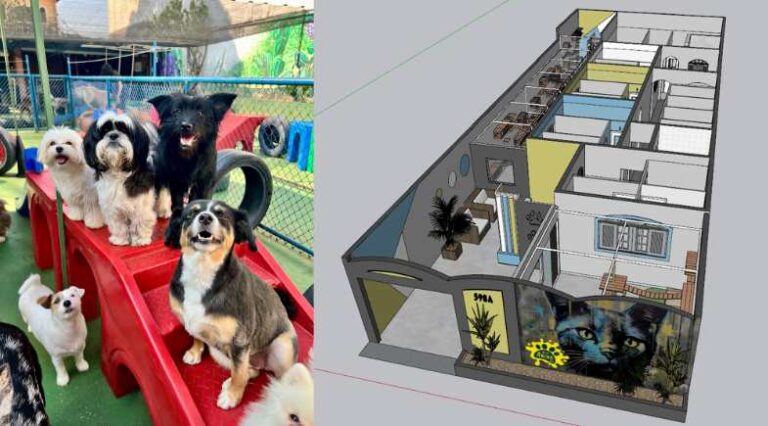 Publi_Vila_Anima_Pulo_do_Gato