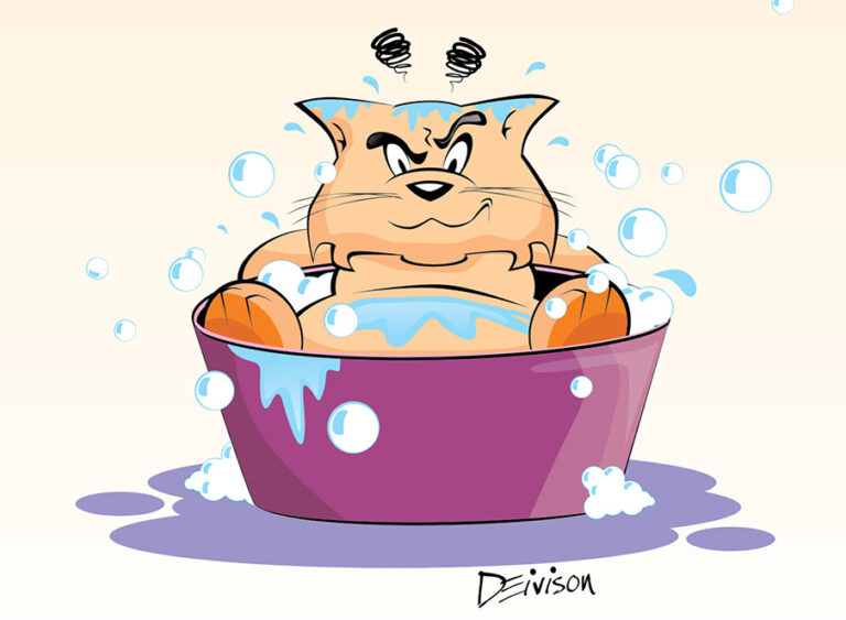 PuloGato43_(gatos_na_o_gostam)