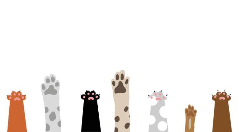 Estilo_de_Vida_Amante_Pulo_do_Gato_SEO