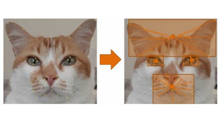 Tecnologia_Pulo_do_Gato