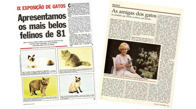 caesecia-495-50-anos-de-gatofilia-no-brasil