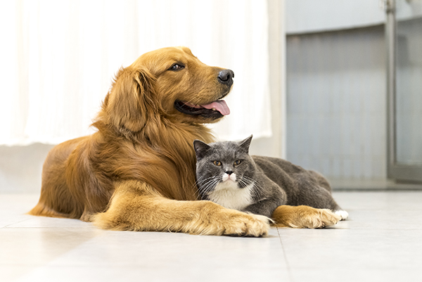 iStock-525729276