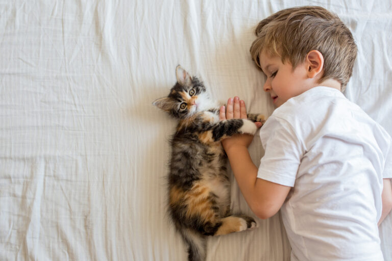 iStock-615501238