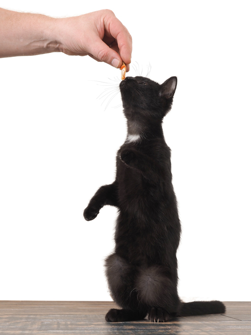 iStock-675965564