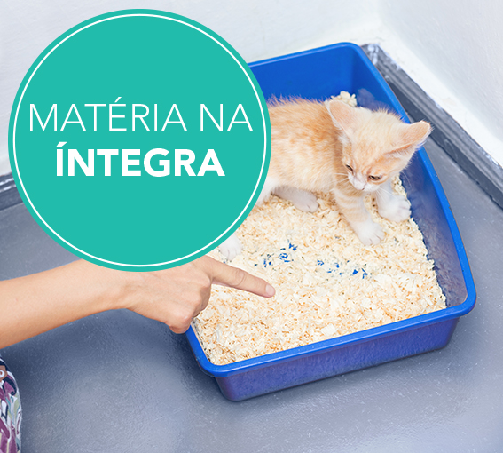 iStock_52191634_LARGE_correcao2