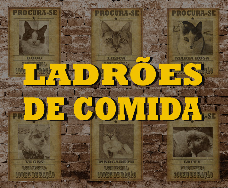 ladroes%20de%20comida%20capa