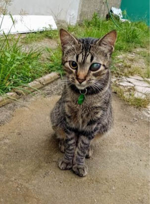 5_Pontos_Andar_Na_GUia_Pulo_do_Gato