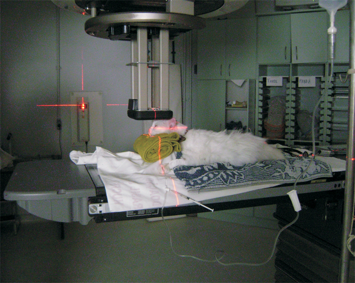 radioterapia