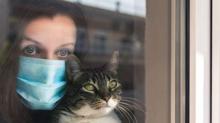 revista-Pulo-do-Gato-e-a-COVID-19--como-protege-los