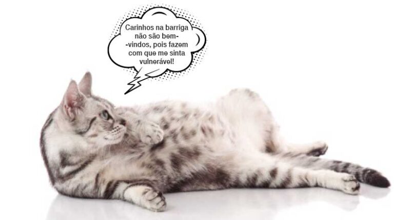 revista-pulo-do-gato-11-coisas-que-seu-gato-diria