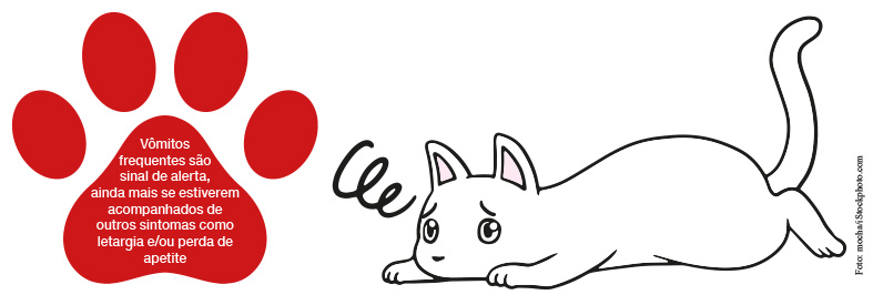 Terapeuta_Comportamental_Pulo_do_gato