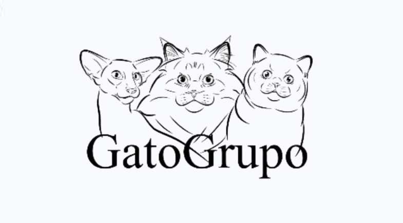 Exposições Internacionais GatoGrupo acontecem em Salvador em setembro