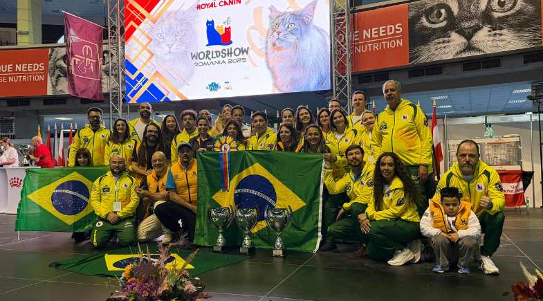 14 gatos brasileiros brilharam na Mundial FIFe 2025