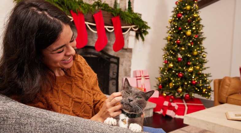 Pet não é presente: a importância da guarda responsável de gatos e cães
