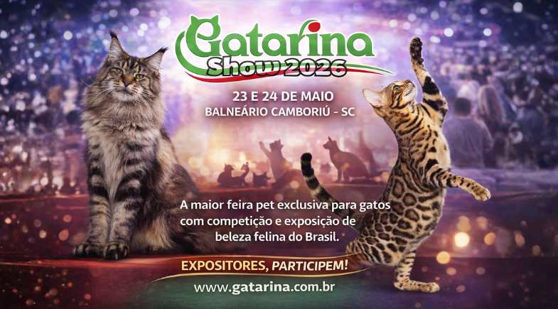 Gatarina Show 2026: encontro felino será realizado em Balneário Camboriú