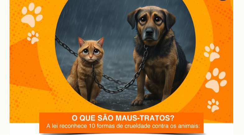 ABRIL LARANJA: Comissão Especial de Direito Animal da OAB/GO lança cartilha educativa de combate aos maus-tratos