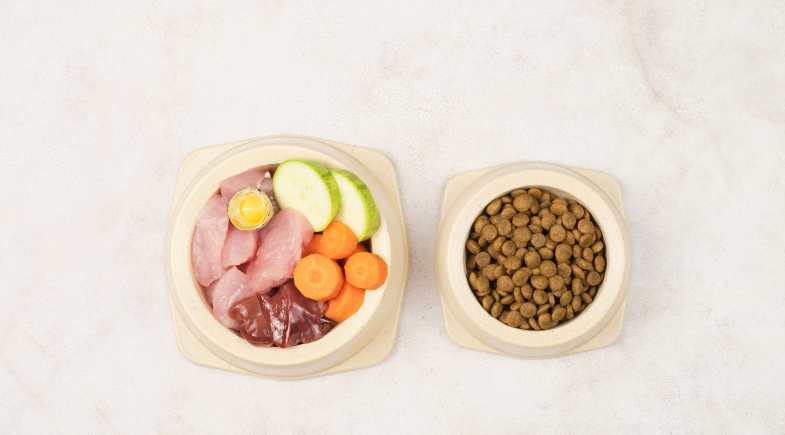 Ganhar dinheiro extra vendendo marmitas para gatos: verdade ou armadilha?